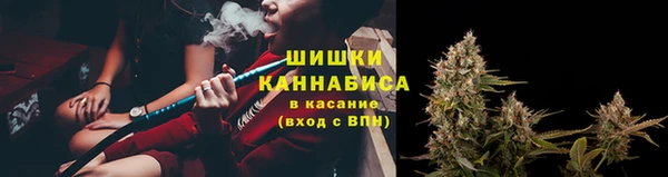 стафф Богородицк