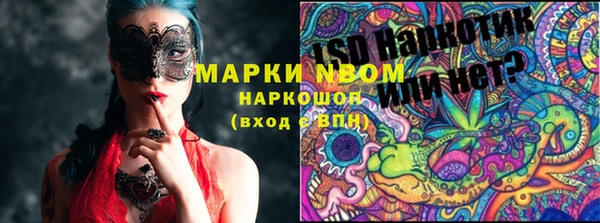 соль ск Янаул