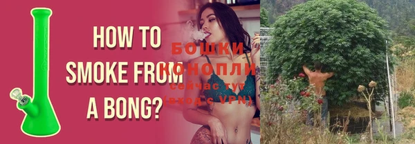 прущая мука Богданович