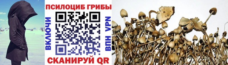 Галлюциногенные грибы MAGIC MUSHROOMS  Кстово 