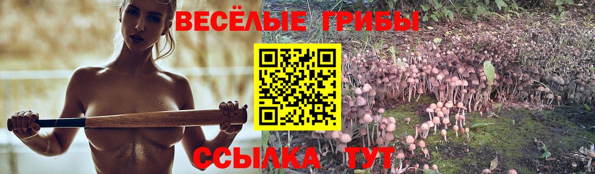 Псилоцибиновые грибы прущие грибы Кстово