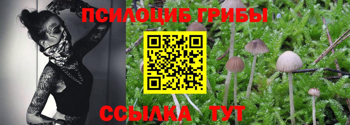 Псилоцибиновые грибы Psilocybe  Галлюциногенные грибы Magic Shrooms  Вход с VPN  Кстово 