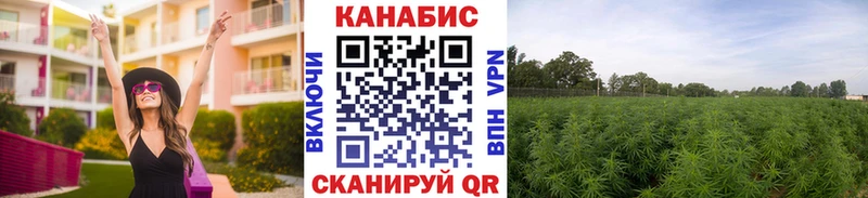 Шишки марихуана VHQ  наркотики  Кстово 